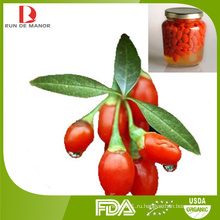 Ningxia органические консервированные свежие ягоды goji / консервированные фрукты / консервы goji